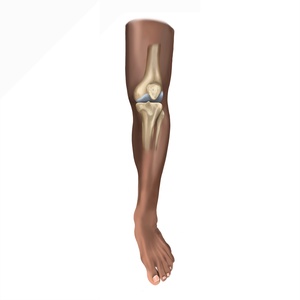 Anatomie du genou, positionnement pour infiltration intra-osseuse tibiale