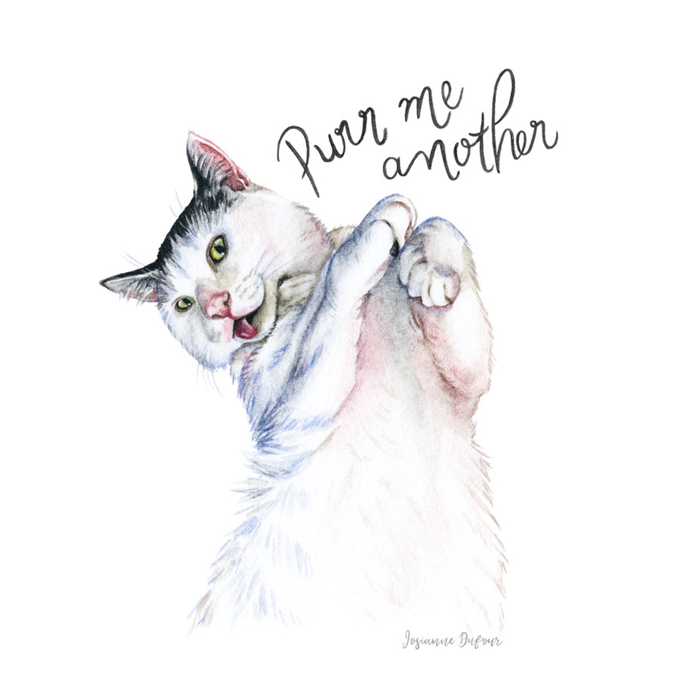 Josianne Dufour - Cat portrait