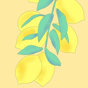 Citrons
