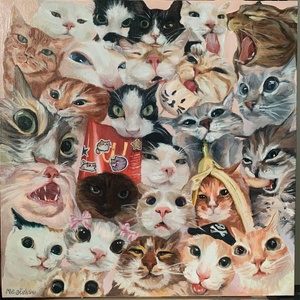 Chats en Rose