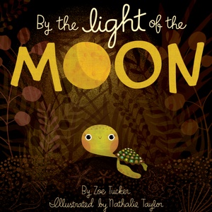 By the light of the moon