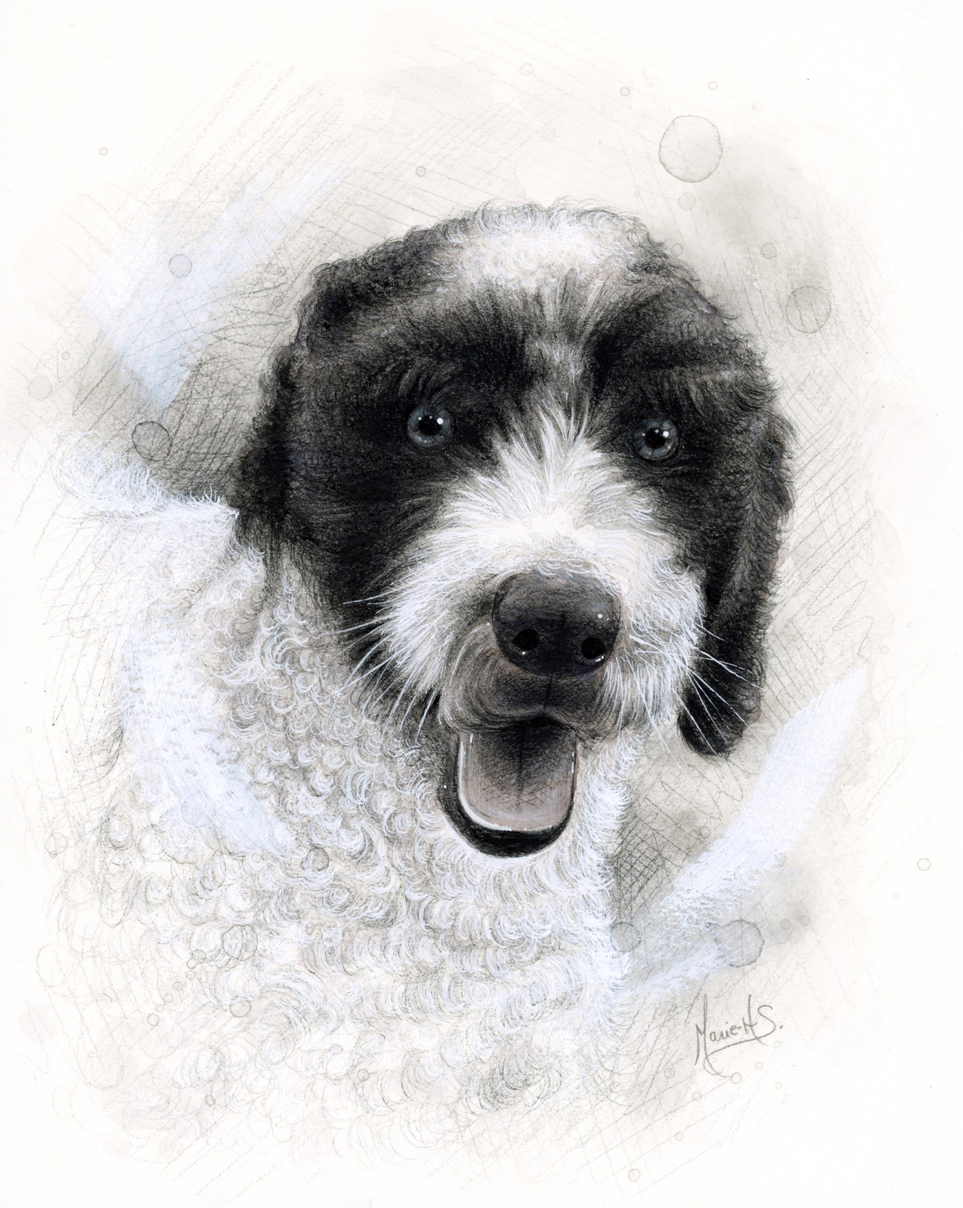 Marie-Hélène St-Michel - portrait de chien
