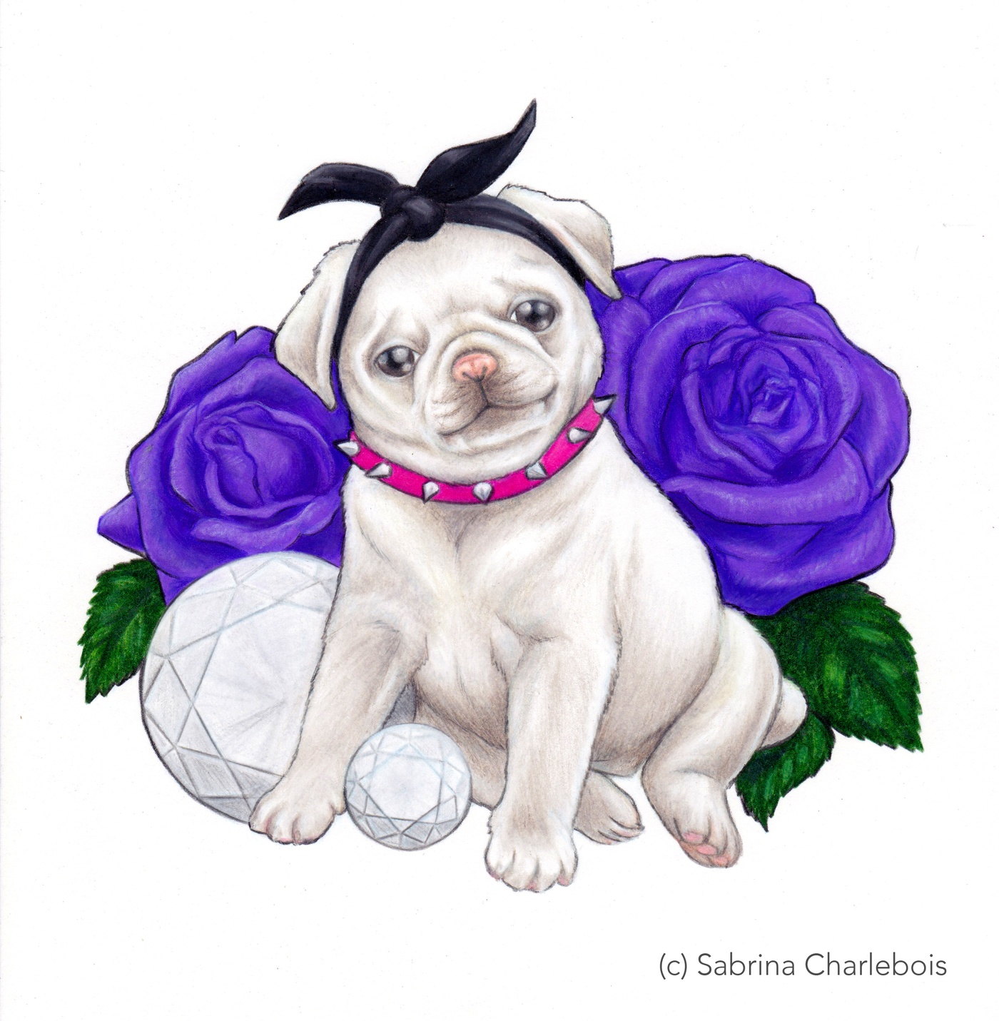 Sabrina Charlebois - Pug & Roses