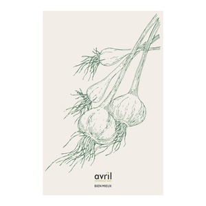 Affiche pour le projet d'illustrations de plantes comestibles pour les supermarchés Avril 
