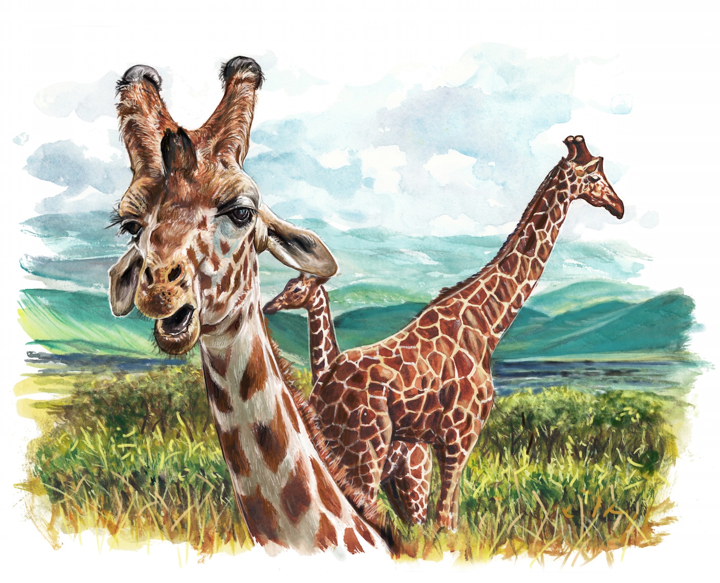 Jocelyne Bouchard - Girafes