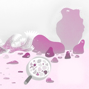 14-15-grilled_cheese_roches-couleurs