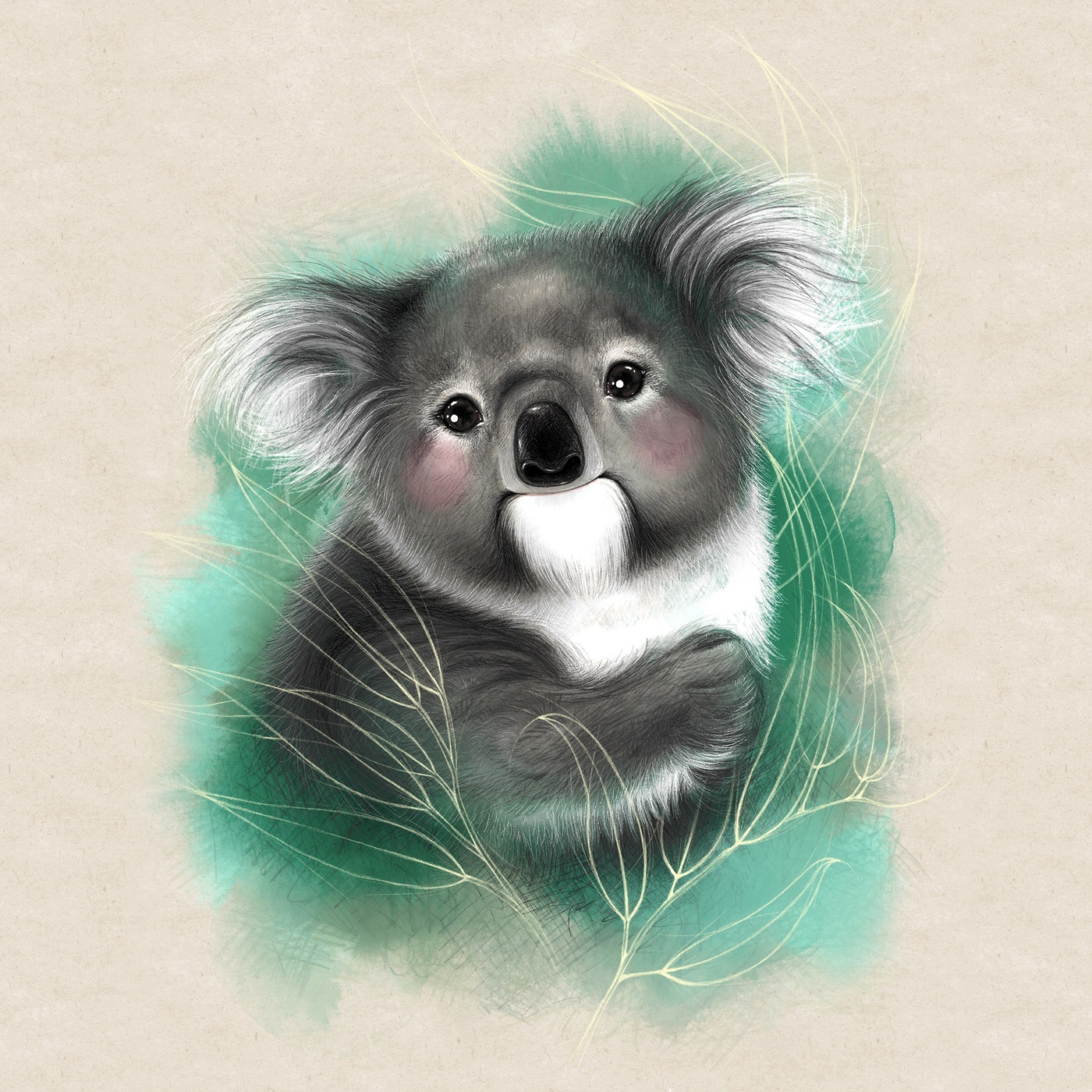 Marie-Hélène St-Michel - koala - Australie