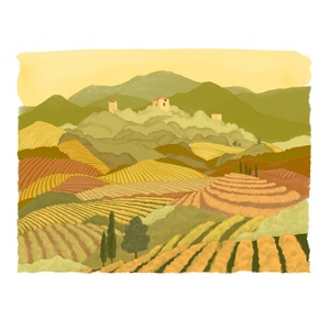 illustration étiquette vin Perlage