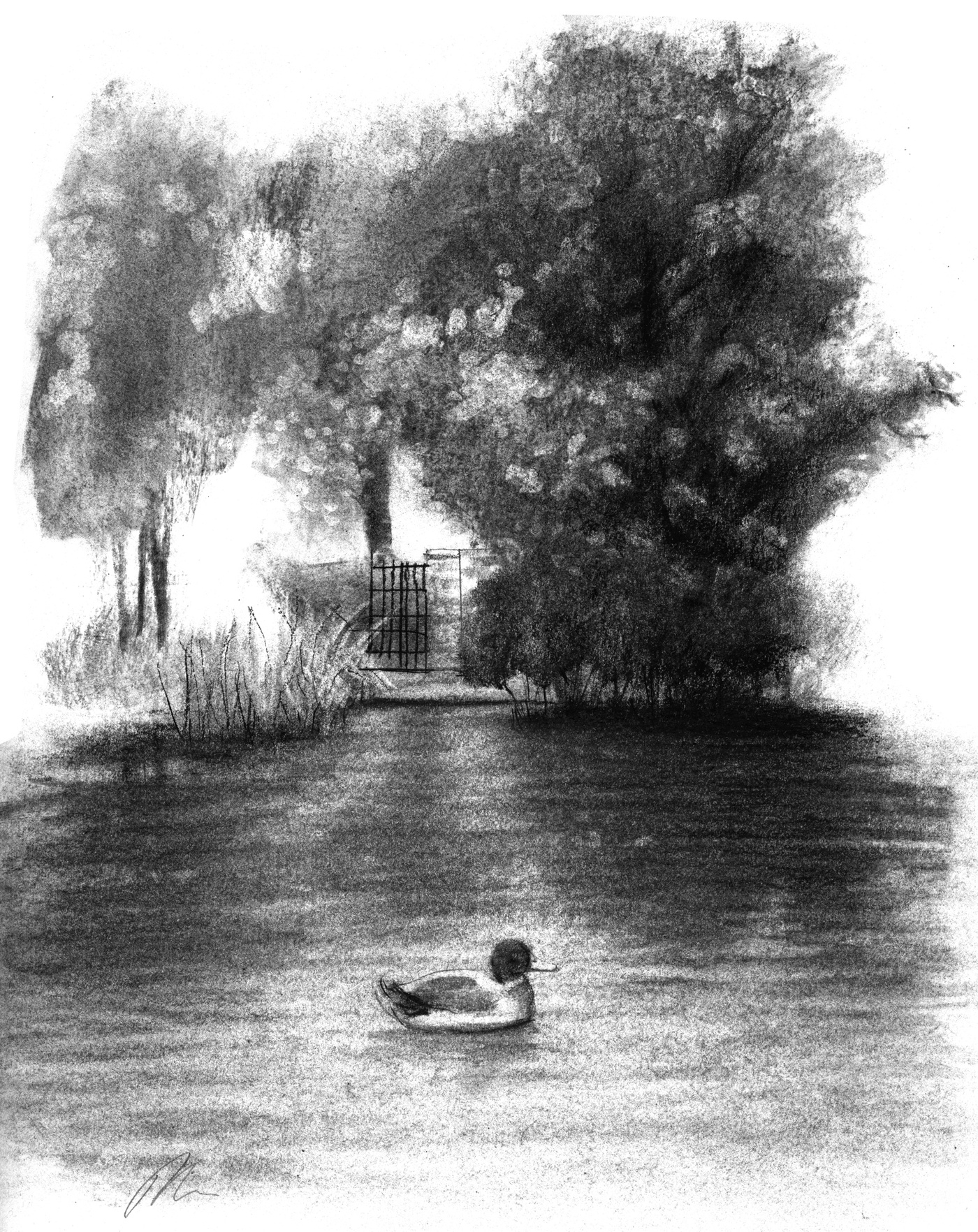 Illustration Québec Ninon Pelletier Fusain Sketchbook