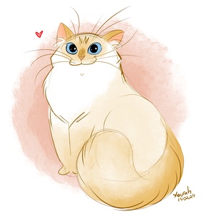 Pumpkin (projet personnel) 